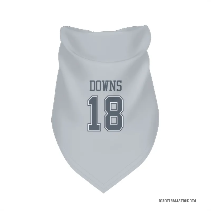 Caleb Downs  Gray Dallas Cowboys  Cat & Dog Pet Bandana