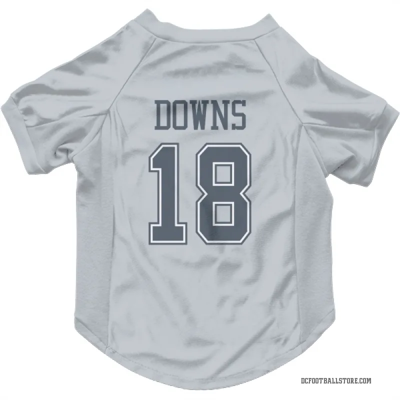 Caleb Downs  Gray Dallas Cowboys  Cat & Dog Pet Jersey