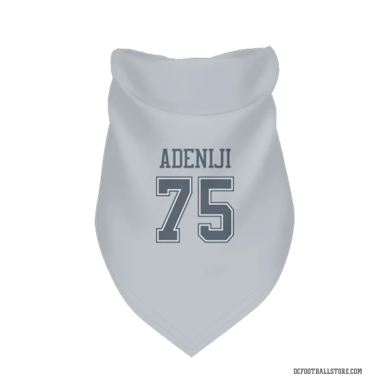 Hakeem Adeniji  Gray Dallas Cowboys  Cat & Dog Pet Bandana