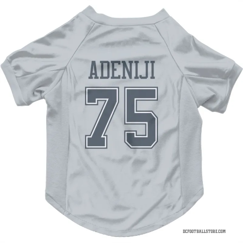 Hakeem Adeniji  Gray Dallas Cowboys  Cat & Dog Pet Jersey