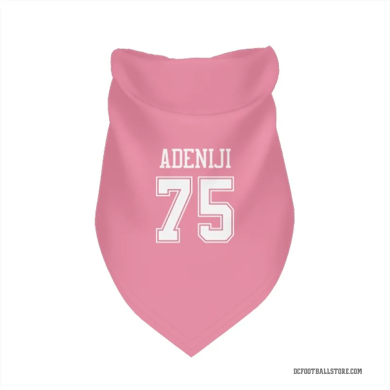 Hakeem Adeniji  Pink Dallas Cowboys  Cat & Dog Pet Bandana