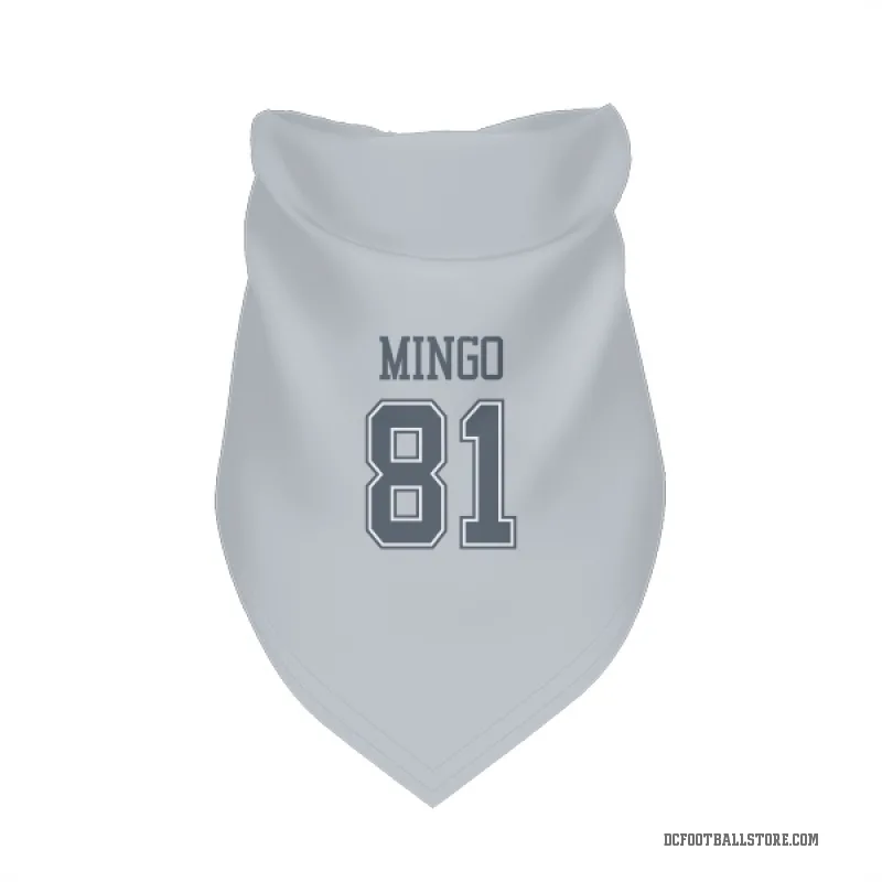 Jonathan Mingo  Gray Dallas Cowboys  Cat & Dog Pet Bandana